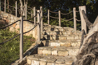 Elegant outdoor steps made of natural stone leading through a neatly finished yard.