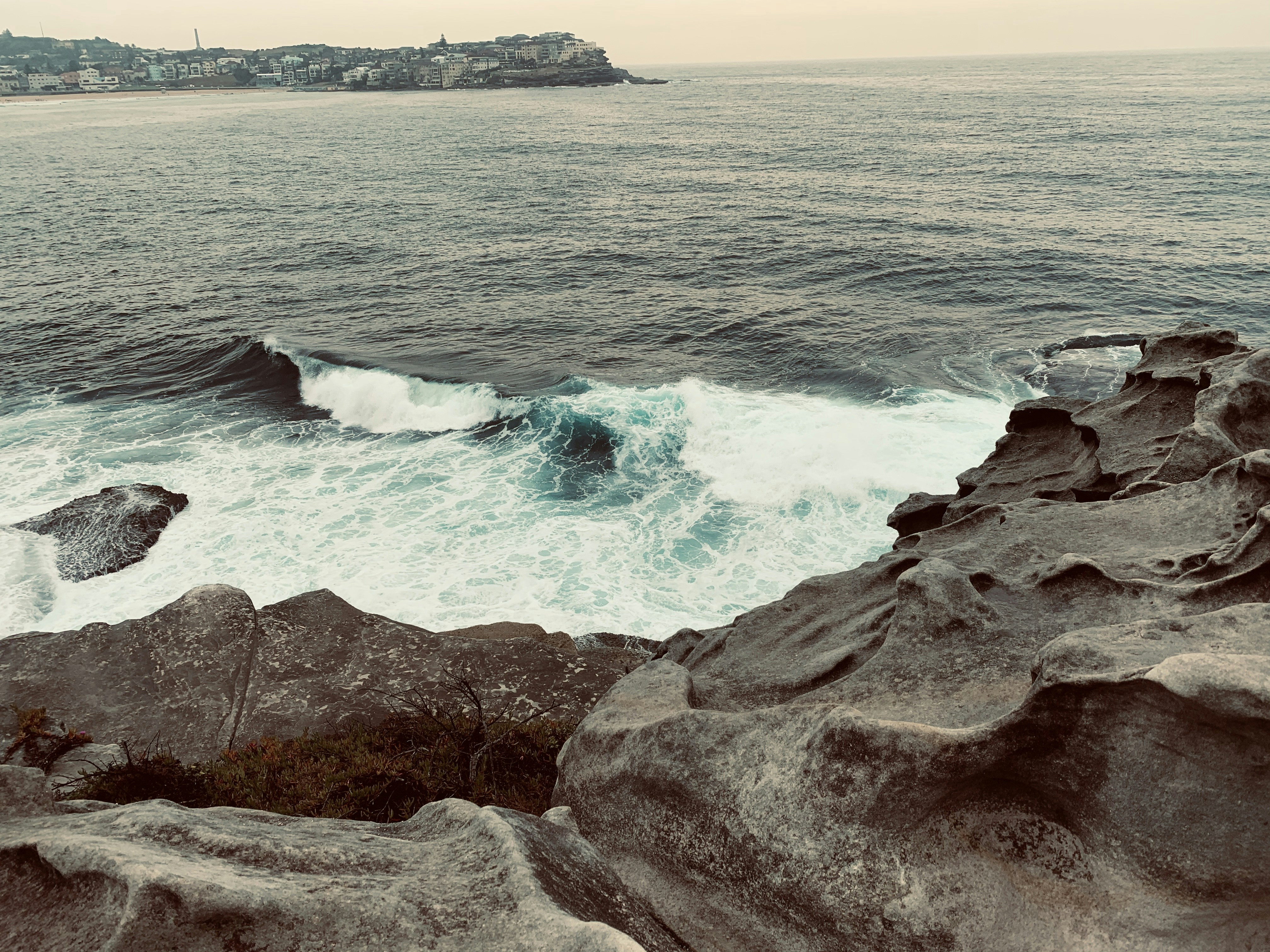 Photo by sienna_photography