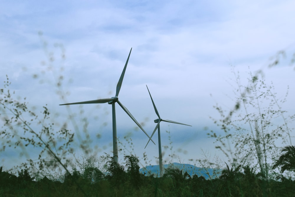 Trois éoliennes dans un champ d’herbes hautes