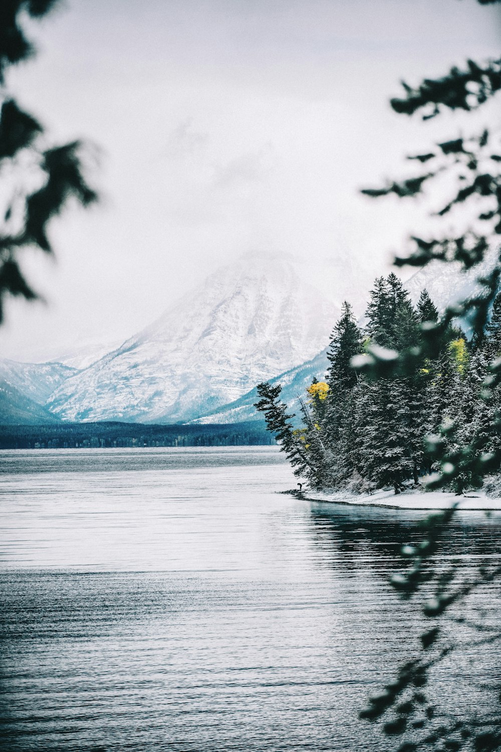 a lake surrounded by trees with a mountain in the background