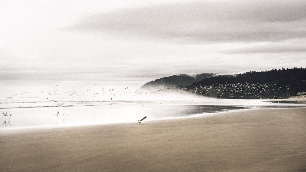 a black and white photo of a beach