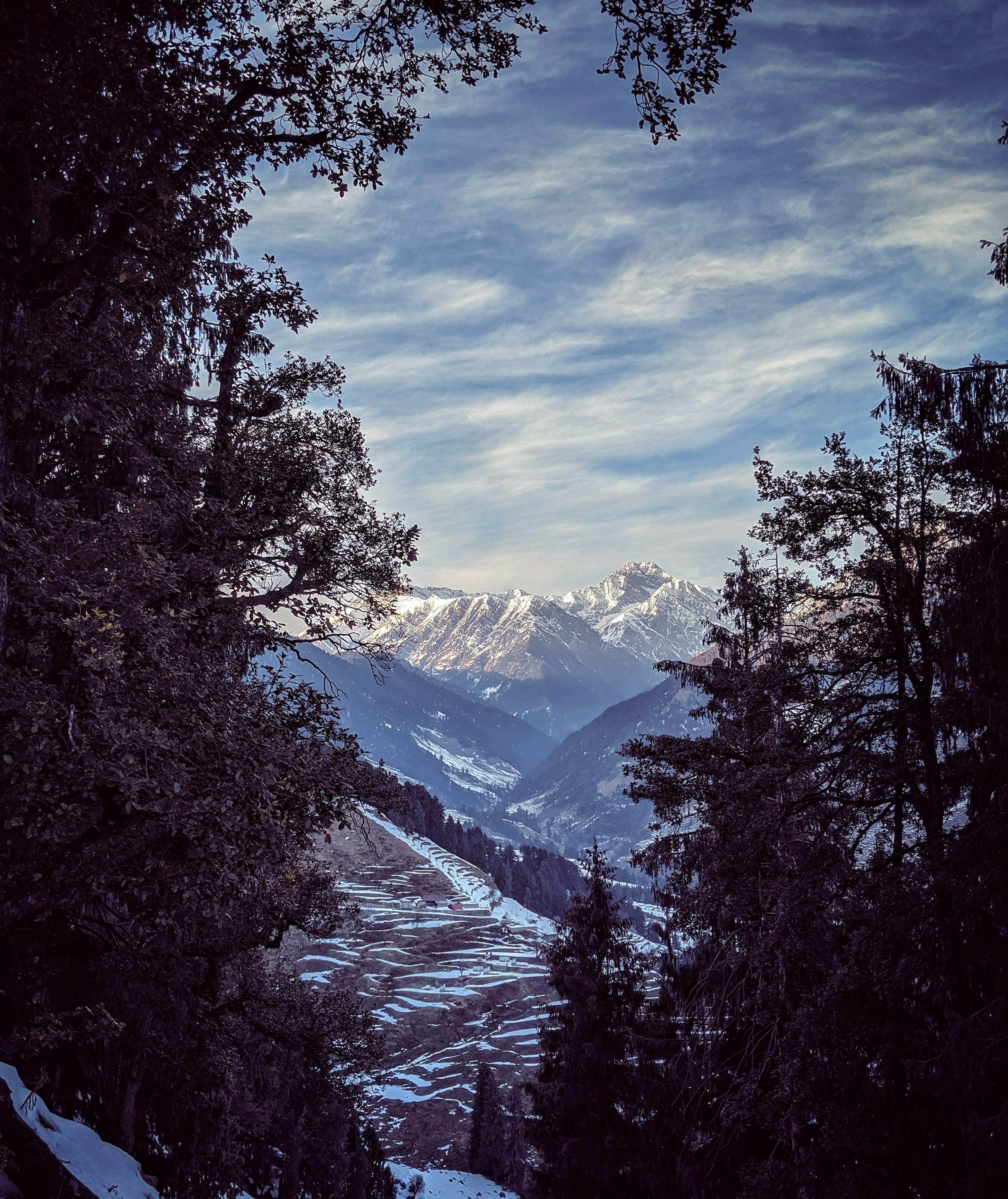 Photo by suicide_chewbacca