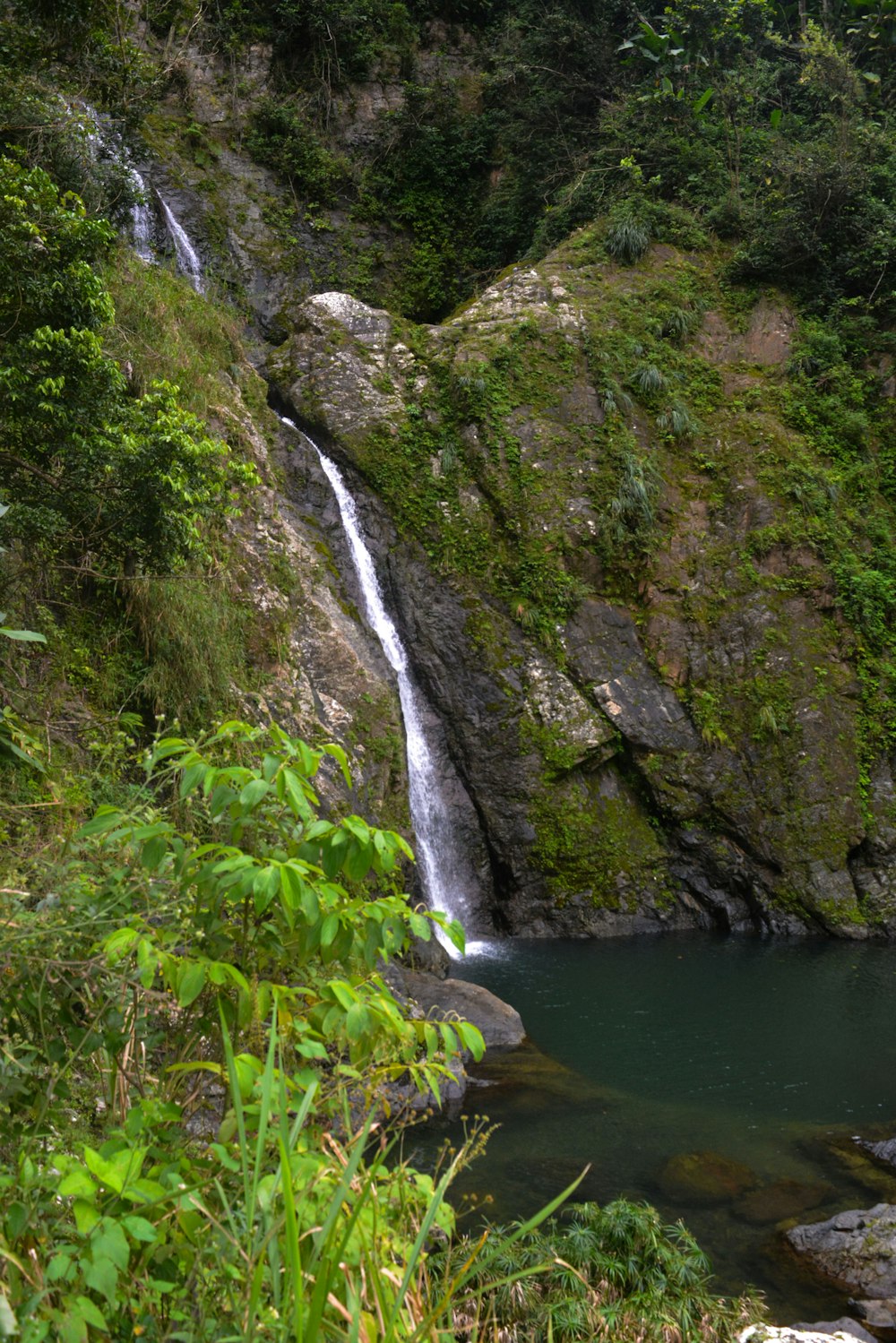 a small waterfall in the middle of a forest