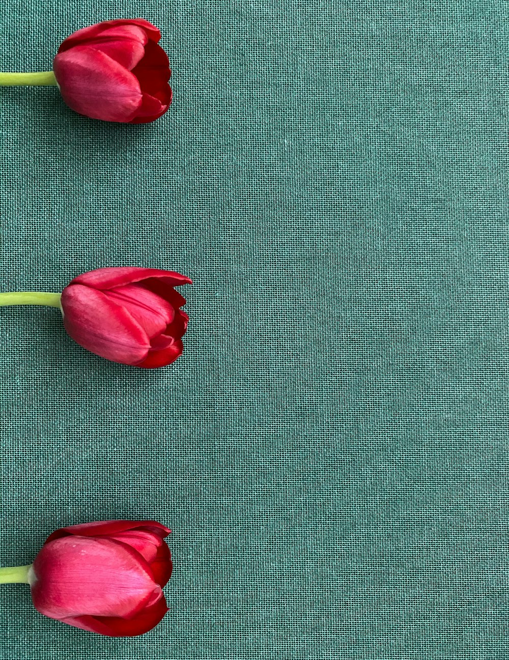 three red tulips sitting on a green surface