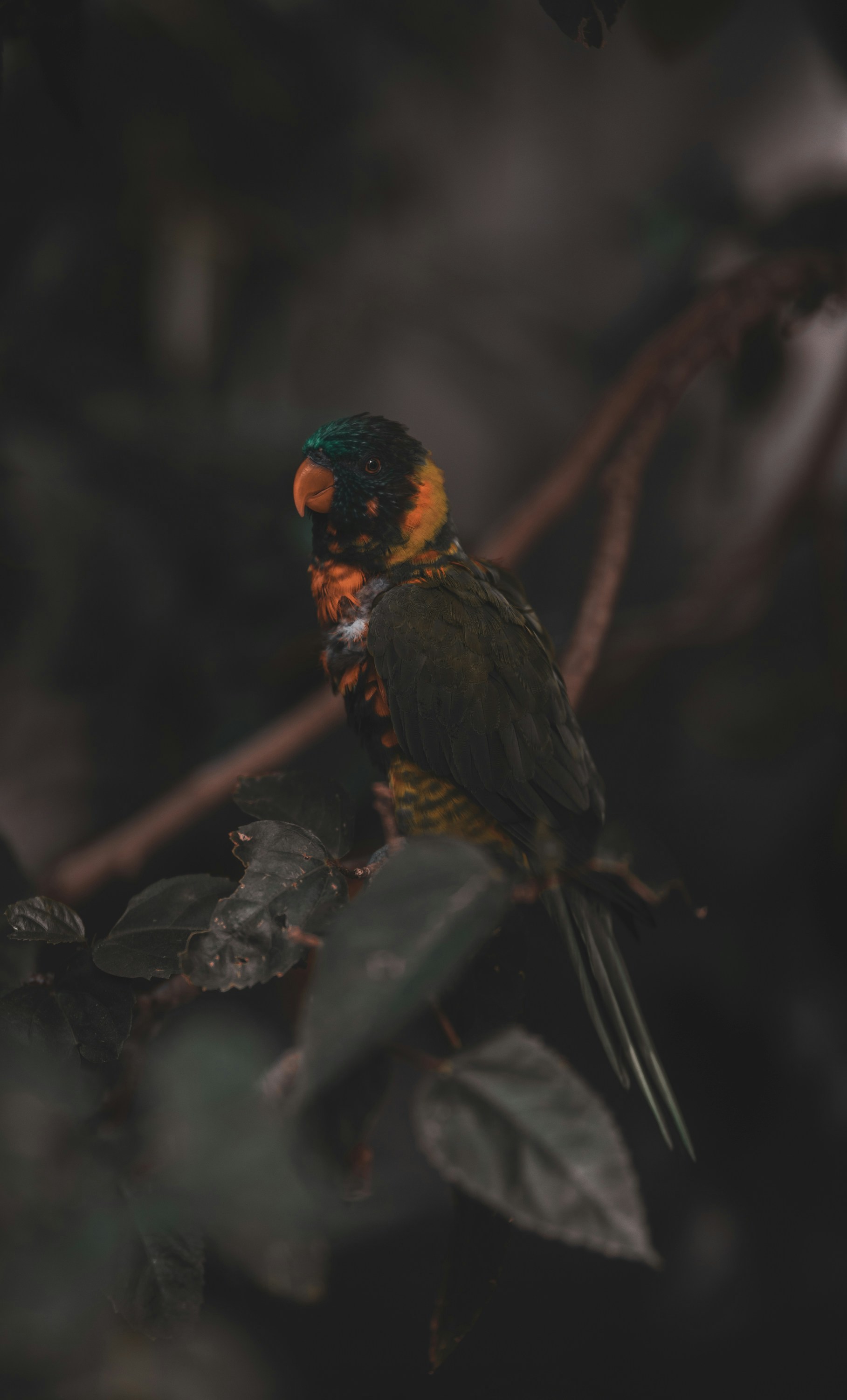 Photo by 535_productions