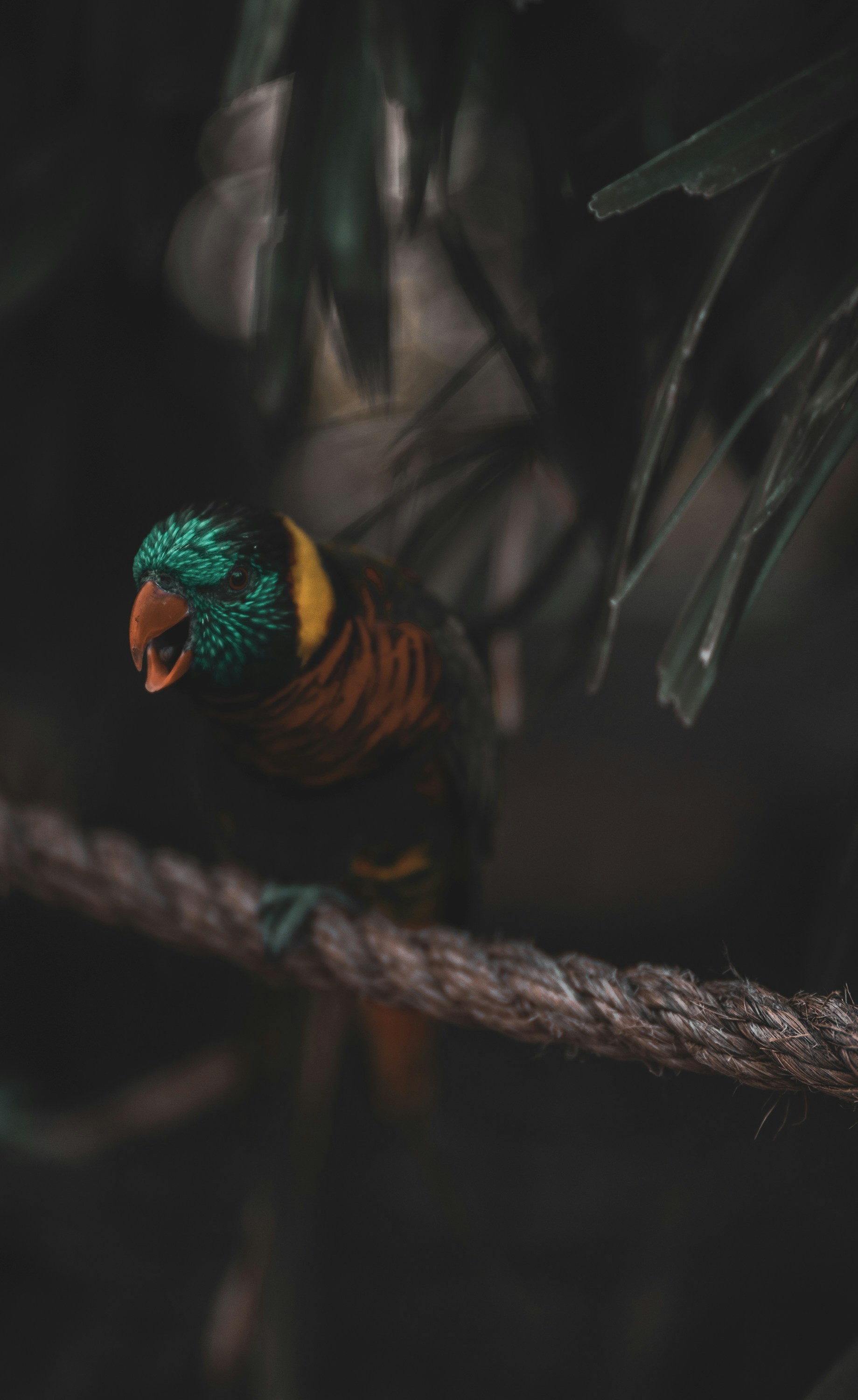 Photo by 535_productions