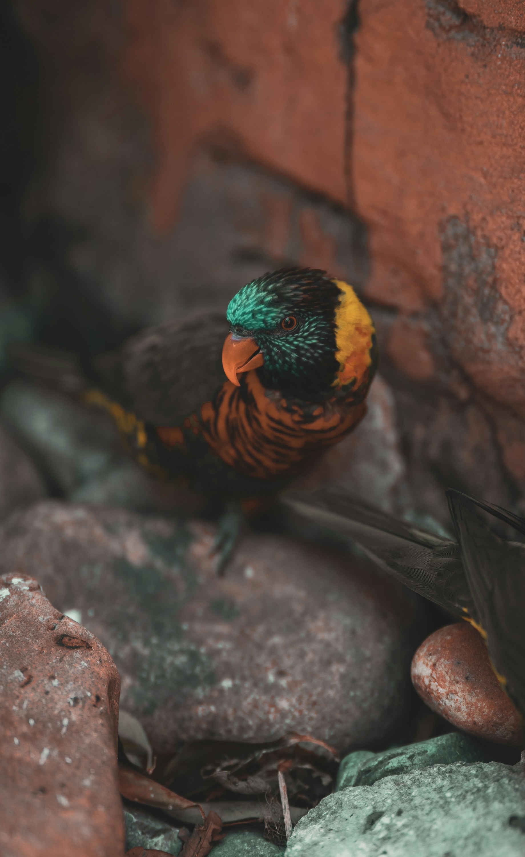 Photo by 535_productions