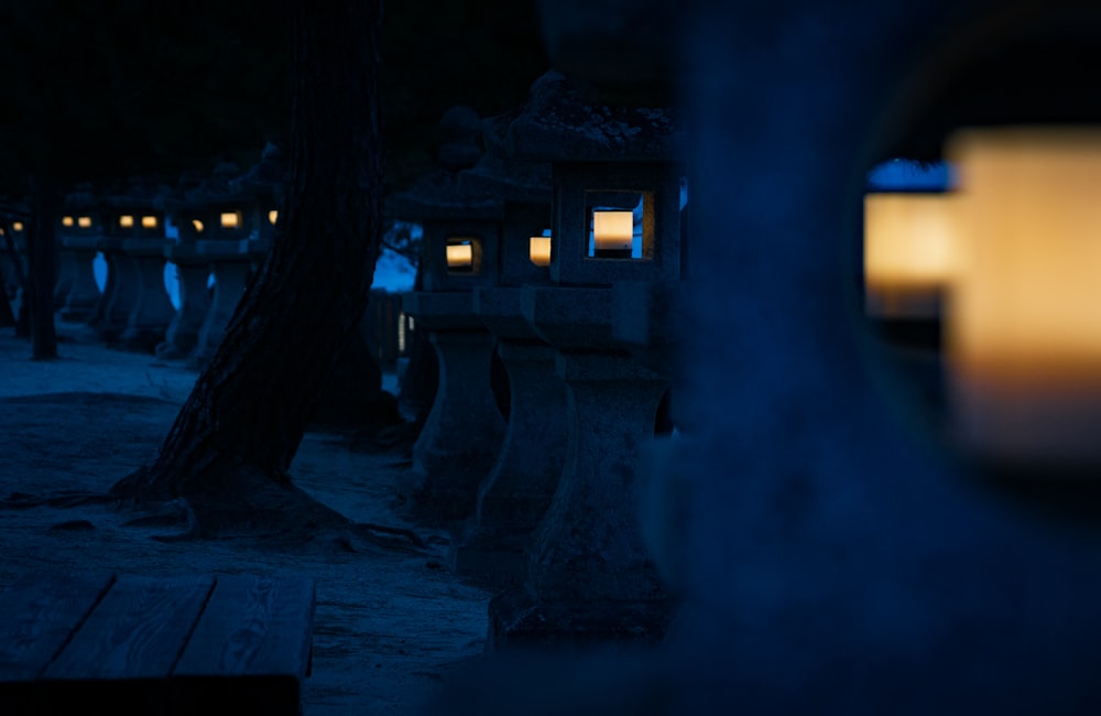 a row of lit candles sitting next to a tree