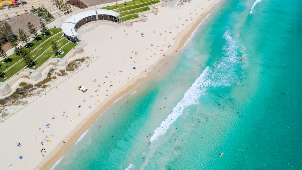 veduta aerea della spiaggia durante il giorno