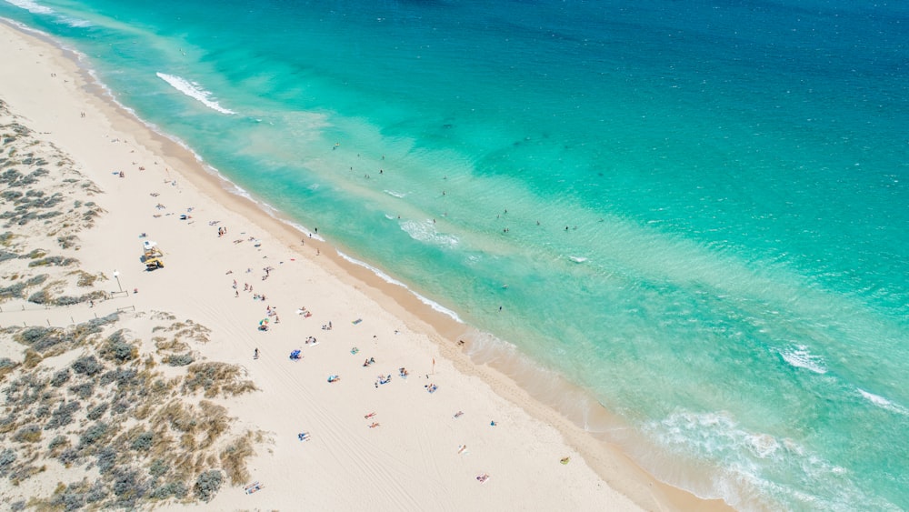 people on beach during daytime