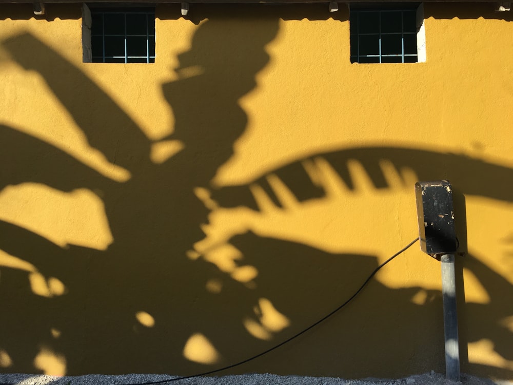 shadow of a person on yellow painted wall