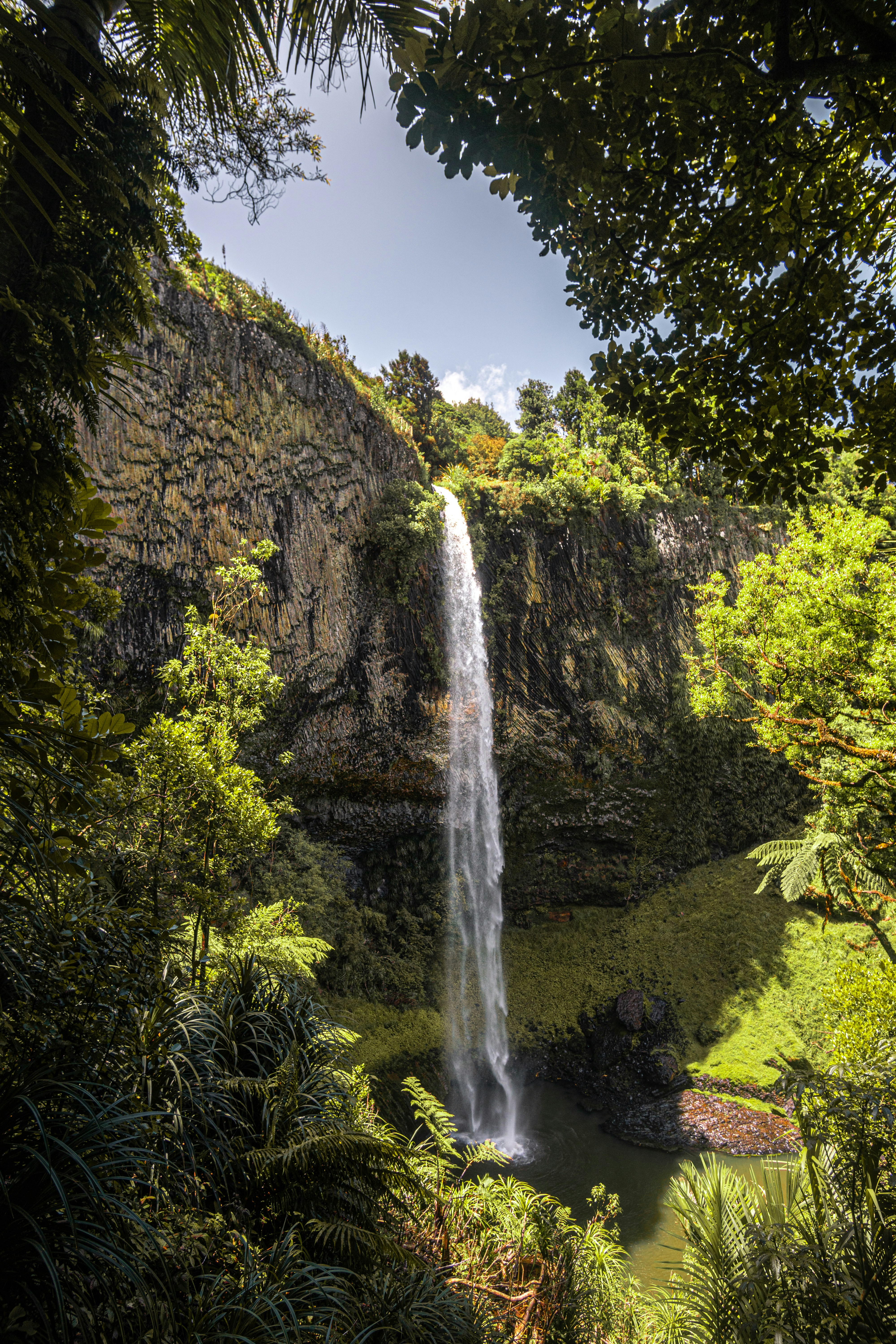 una grande cascata nel mezzo di una foresta