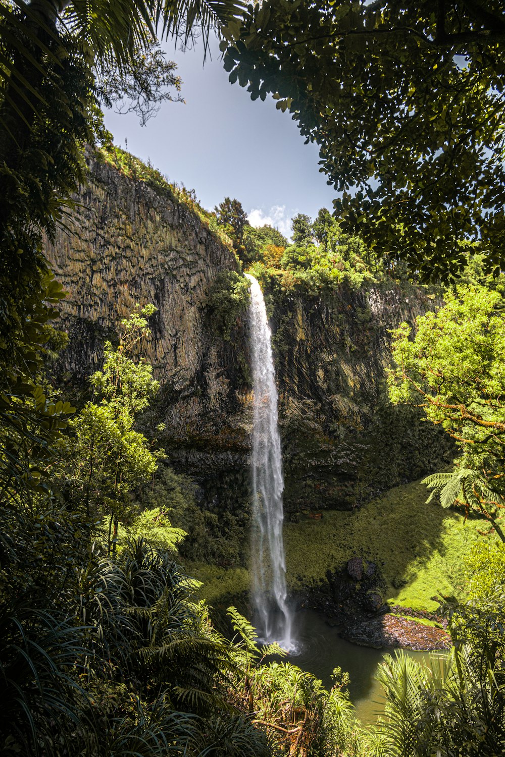 uma grande cachoeira no meio de uma floresta