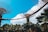 Large, futuristic tree-like structures rise against a bright blue sky with fluffy white clouds. A suspended walkway connects these towering installations, with several people walking across it. Lush green foliage surrounds the base of the structures, creating a blend of nature and modern design.