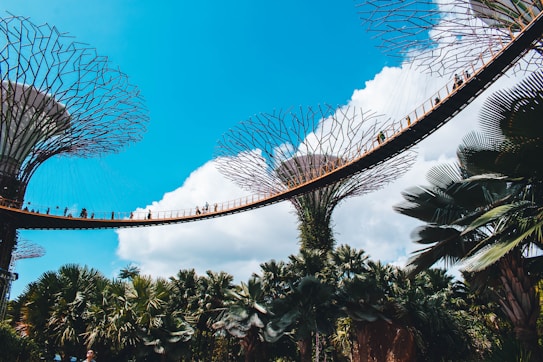Large, futuristic tree-like structures rise against a bright blue sky with fluffy white clouds. A suspended walkway connects these towering installations, with several people walking across it. Lush green foliage surrounds the base of the structures, creating a blend of nature and modern design.