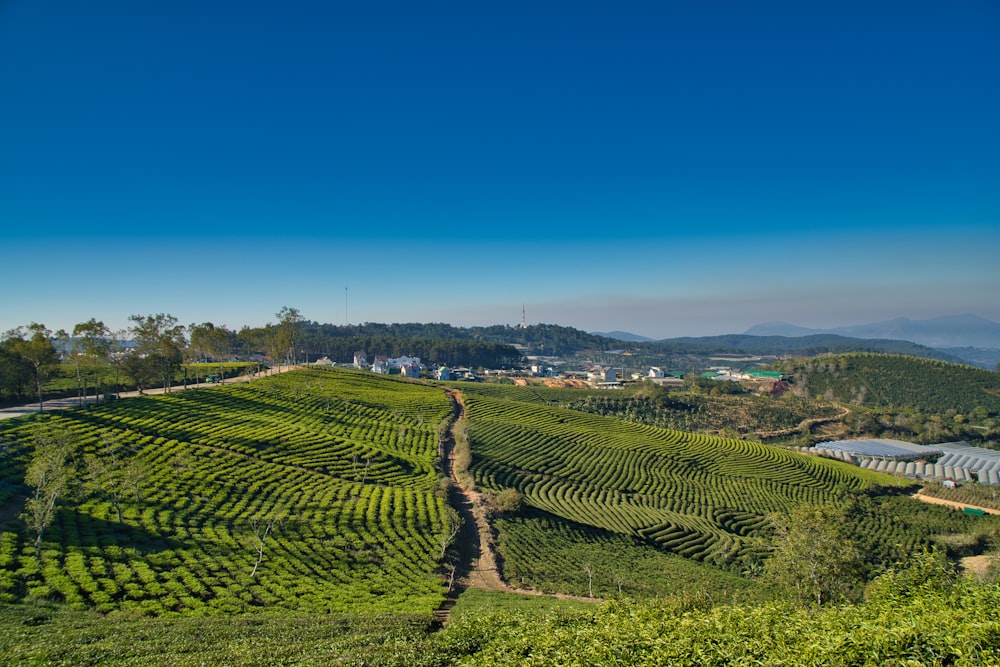 Grüne Wiese unter blauem Himmel während des Tages