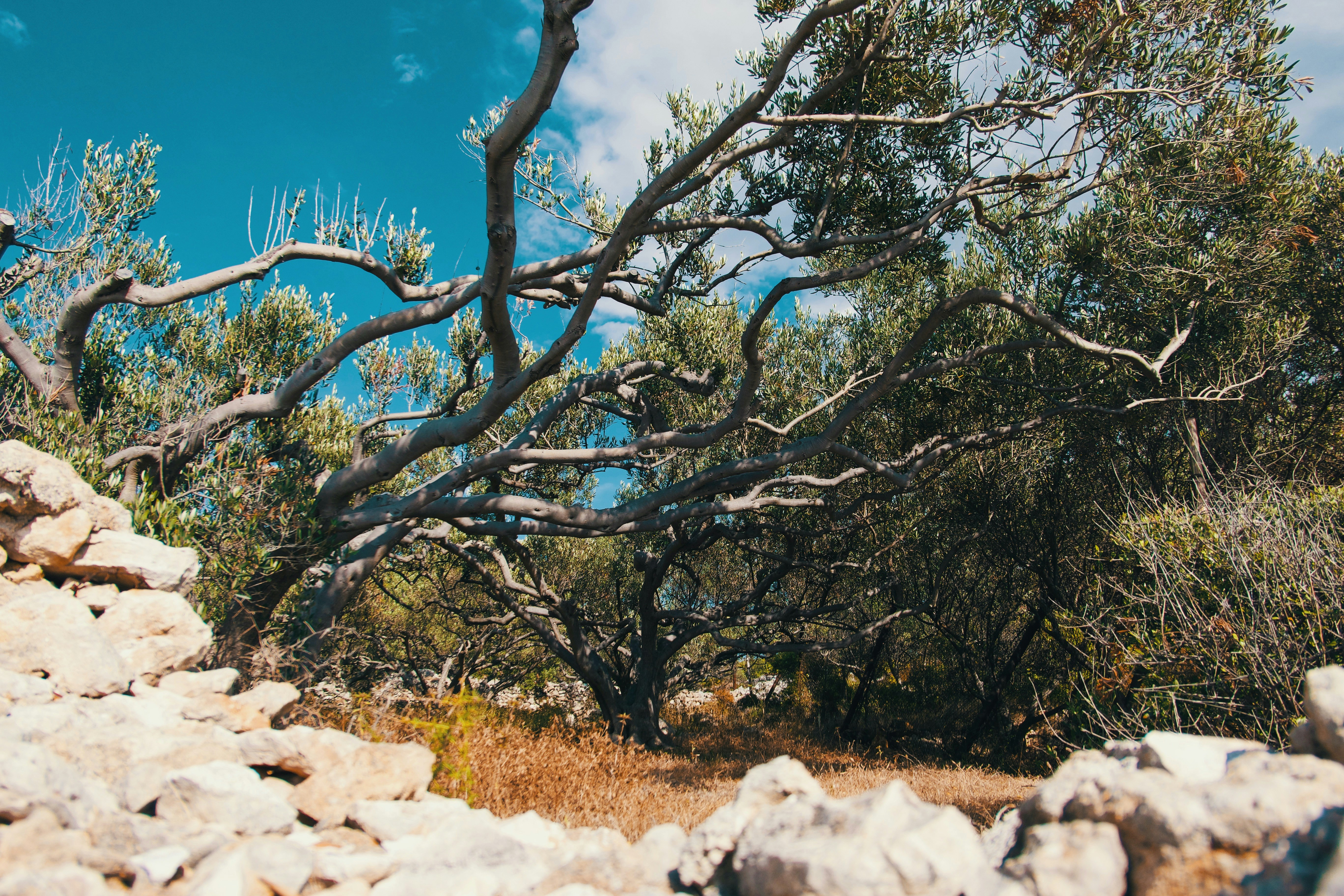 Photo by nomadicjulien