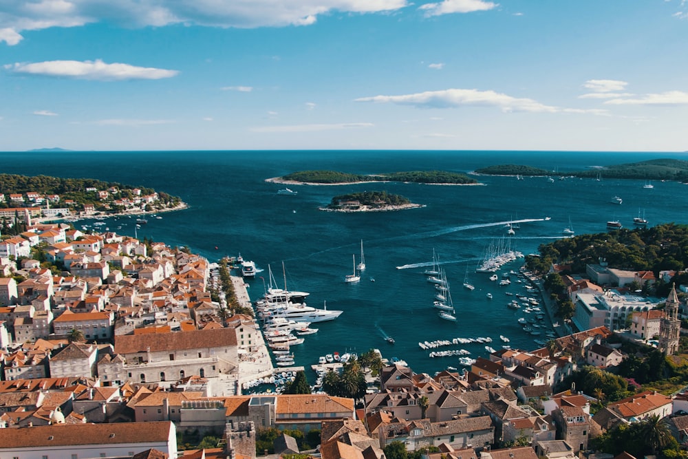 aerial view of city buildings near sea during daytime