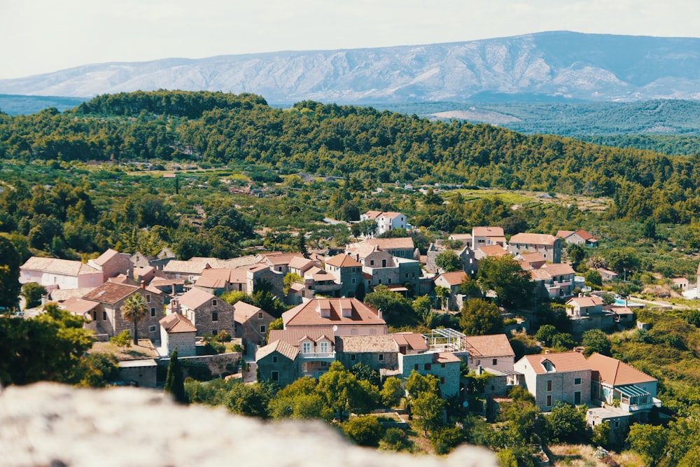 brown and white houses near green trees and mountain during daytime