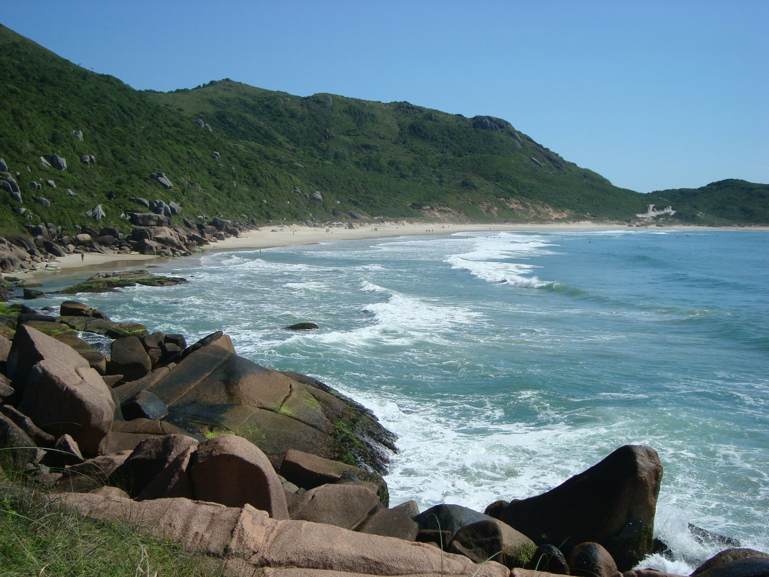 brown rocky shore near green mountain during daytime
