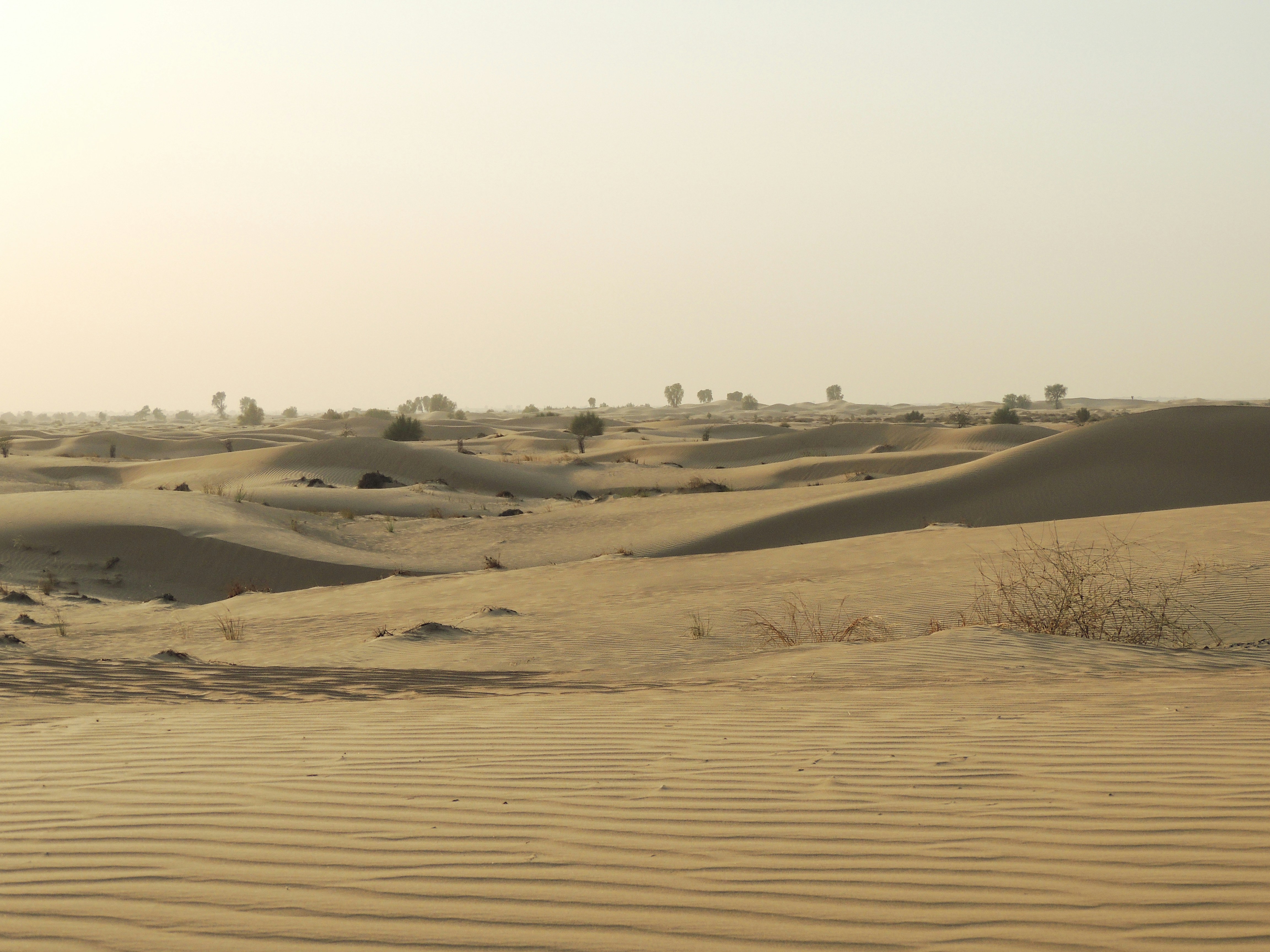 Photo by qurratulayin