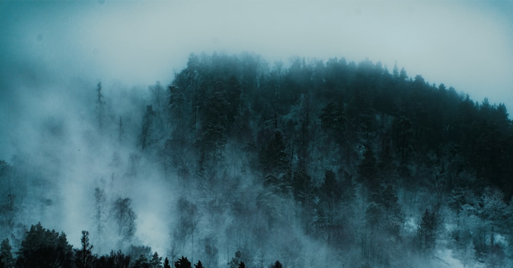 a mountain covered in fog with trees in the foreground