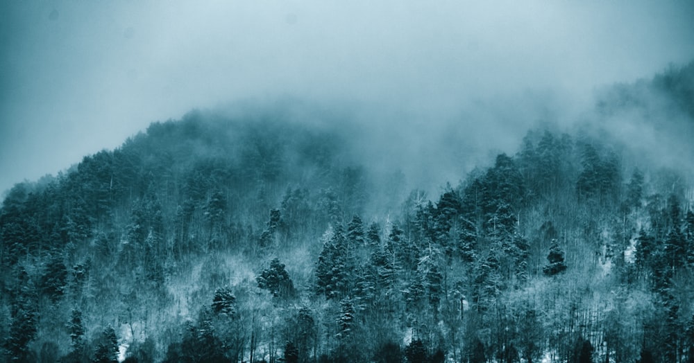 a mountain covered in fog with trees in the foreground