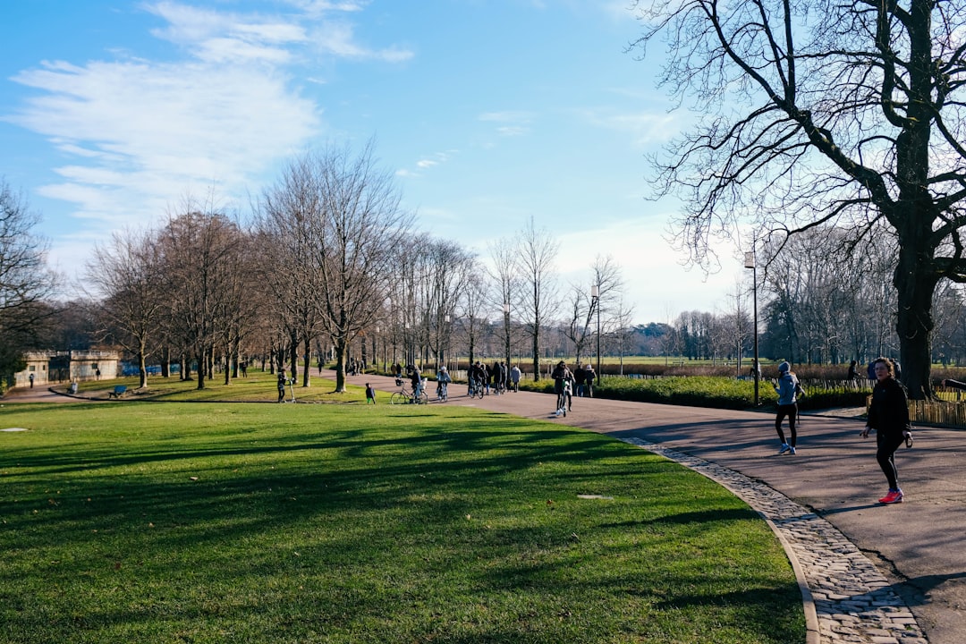 a group of people walking down a path in a park,
