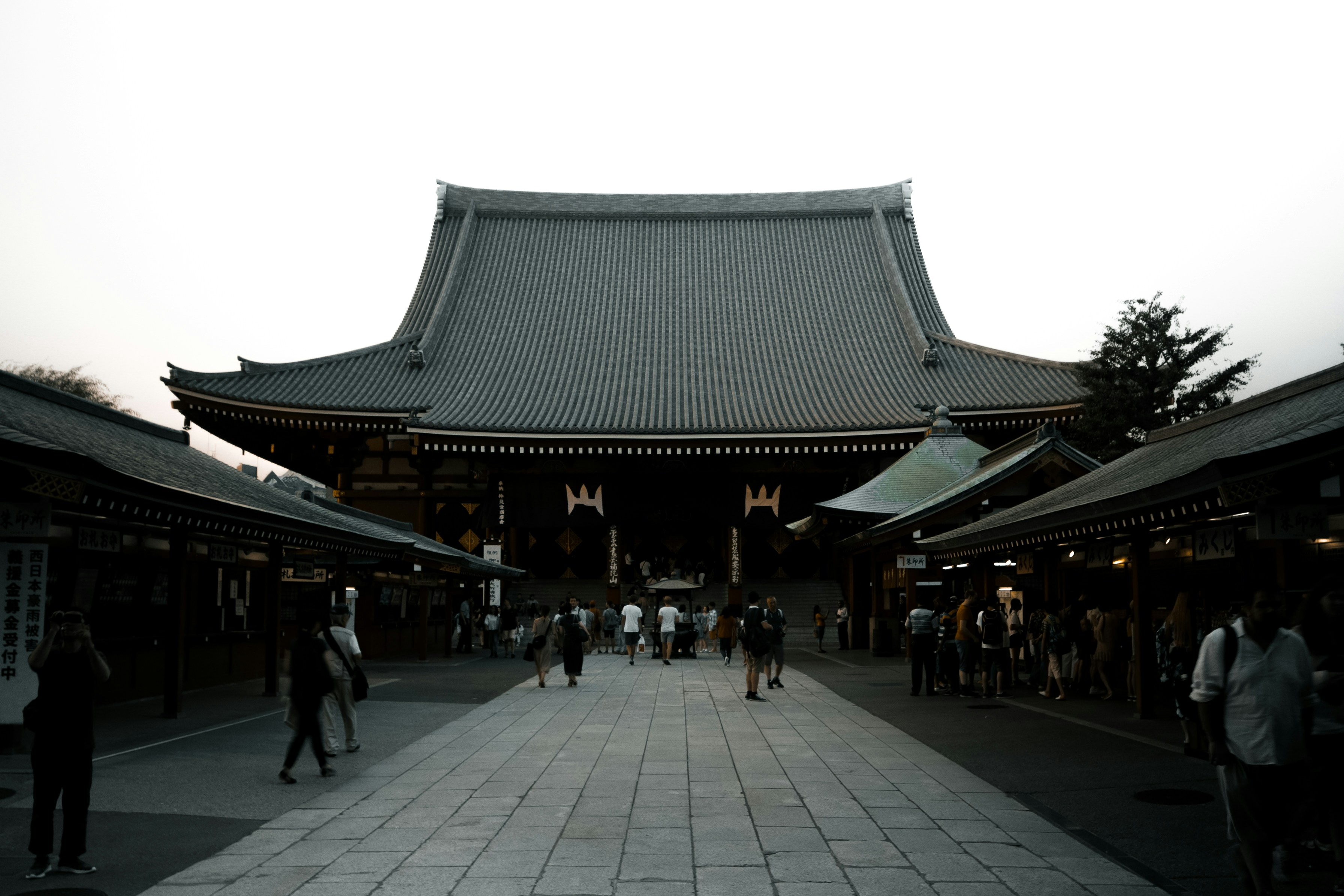 Photo by shunyakoide