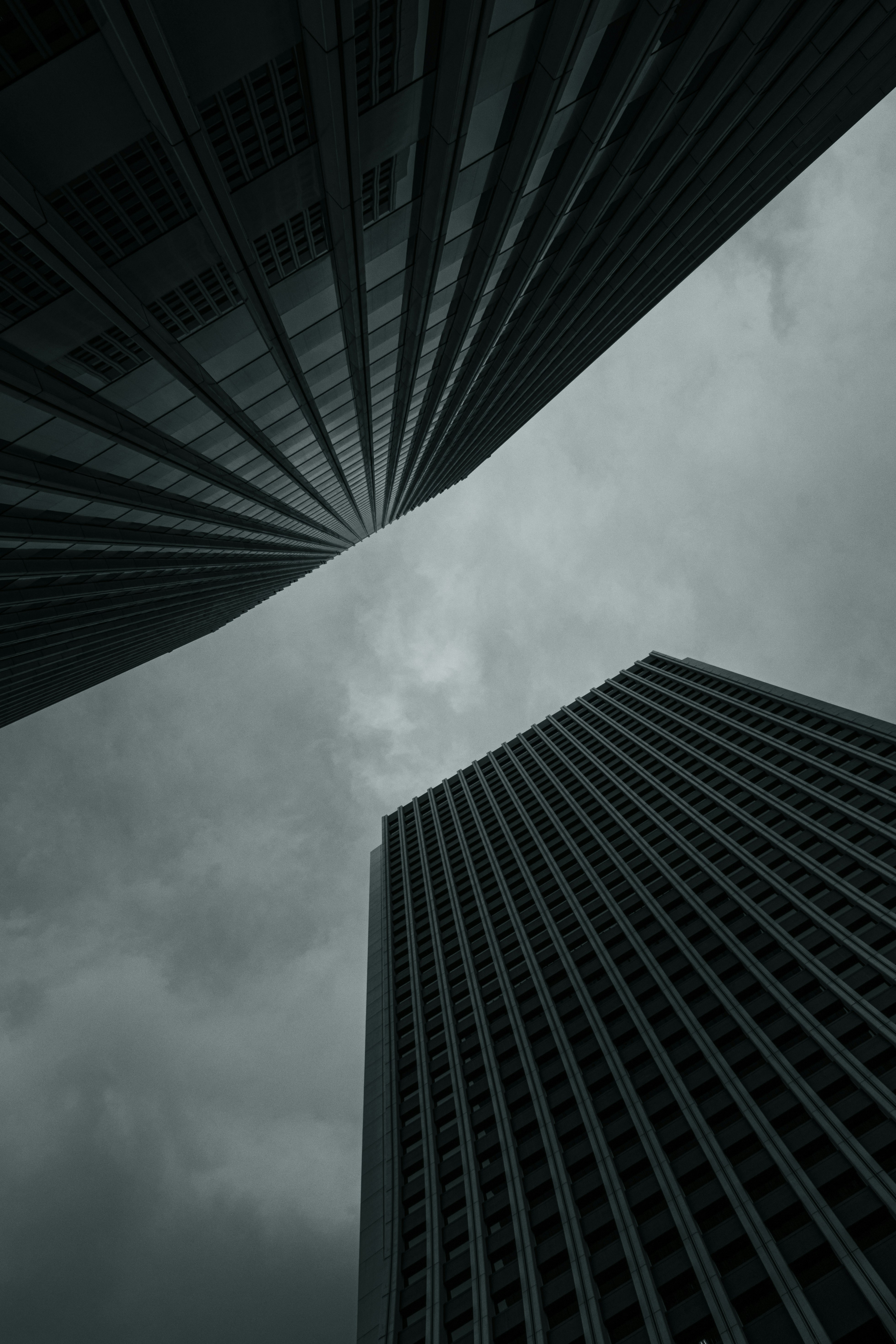 Photo by shunyakoide