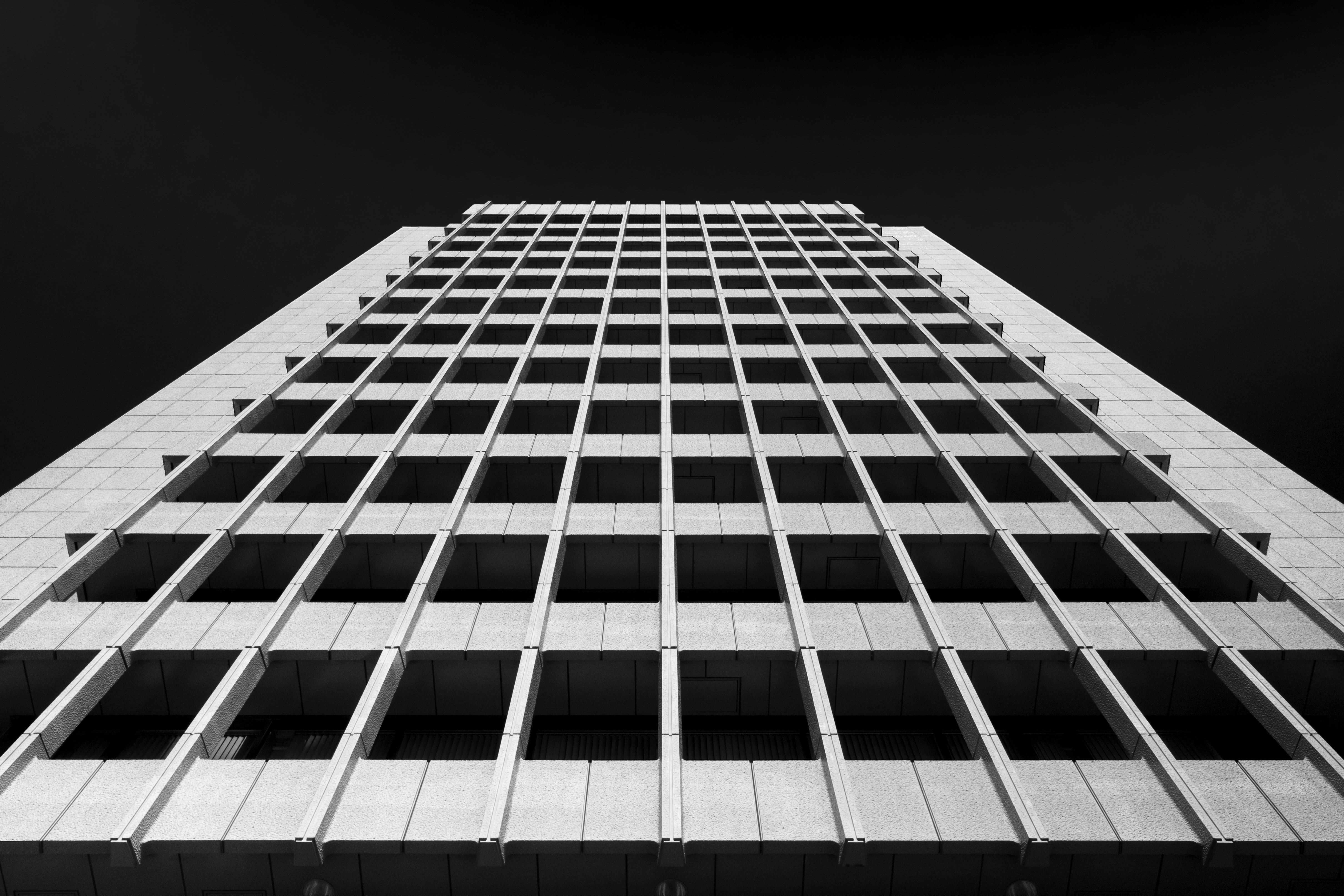 Photo by shunyakoide