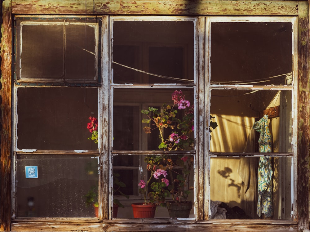 red flowers on brown wooden window