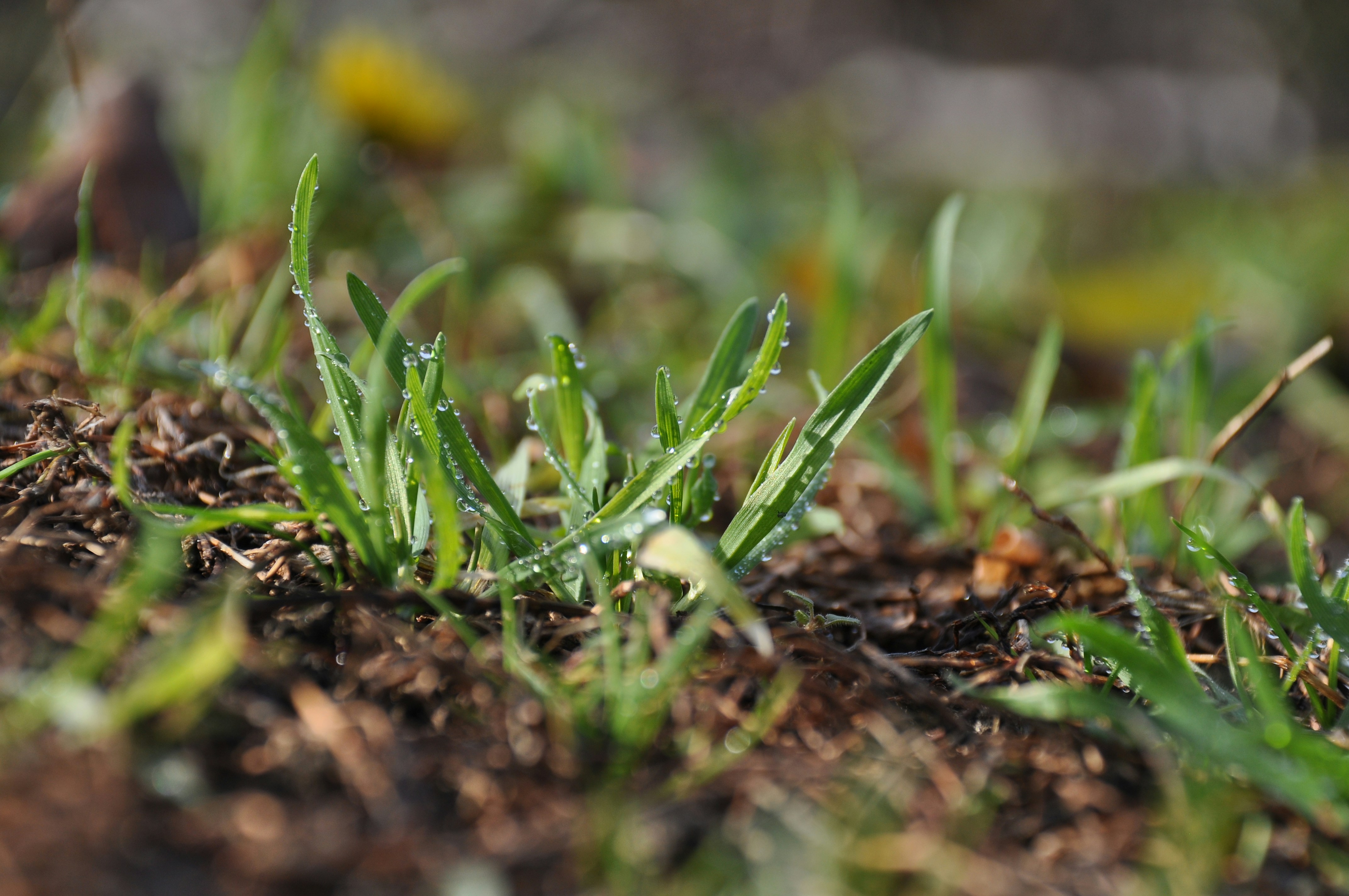 Photo by pa_photography