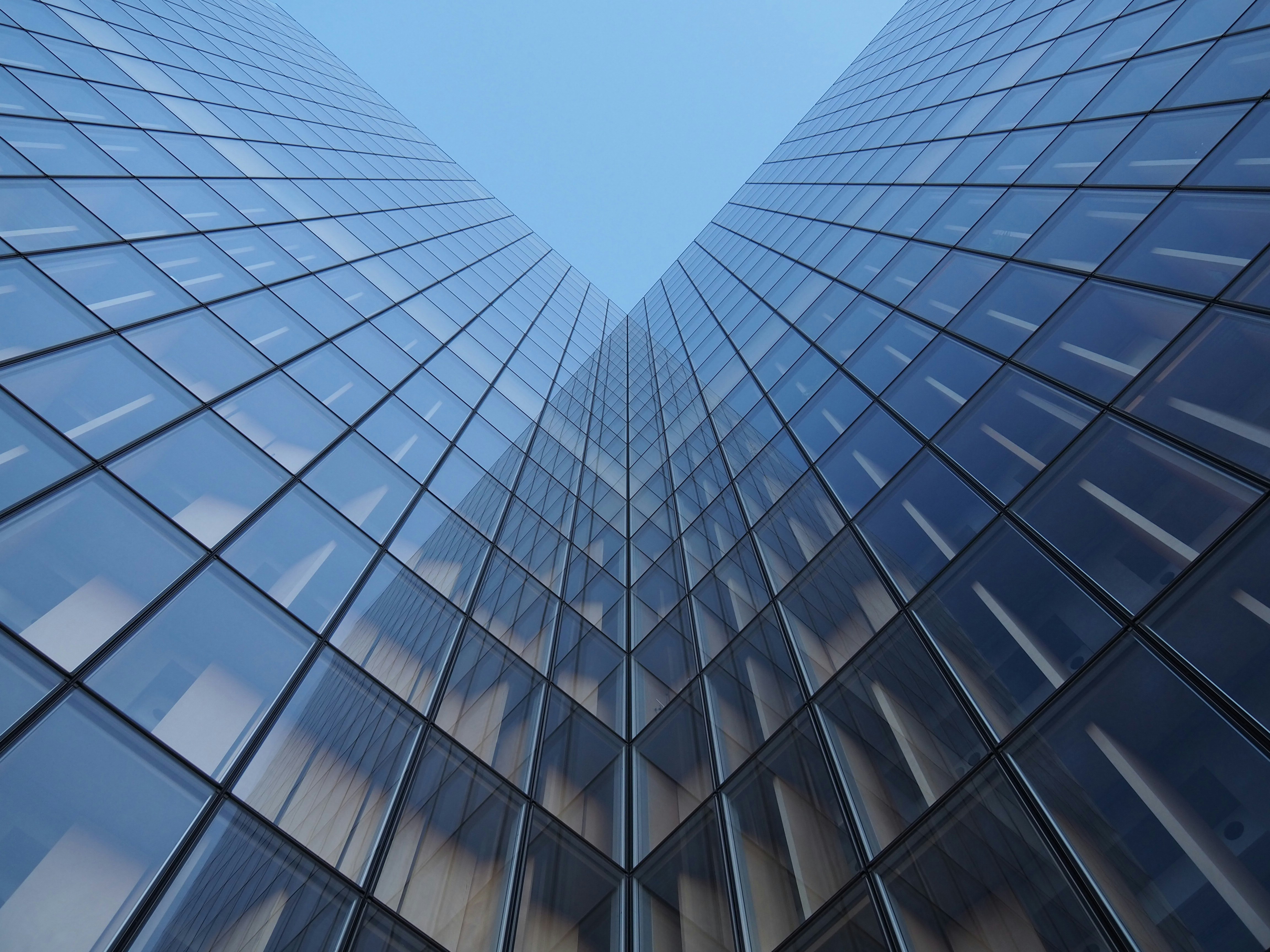 Beyond DEI: Normalcy, Power, and Why Inclusion Didn’t Change the Structure