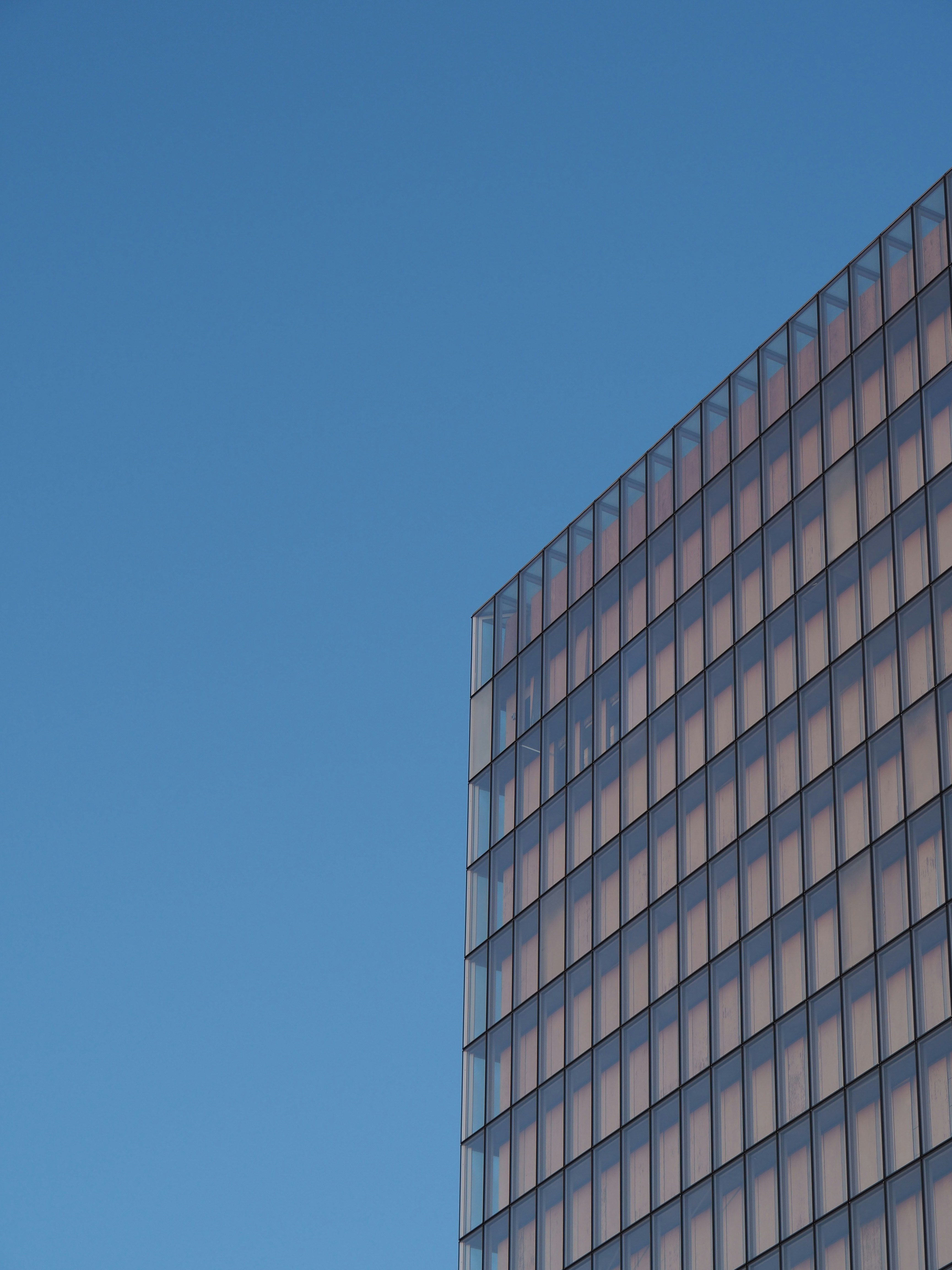 Photo by nimbus_vulpis