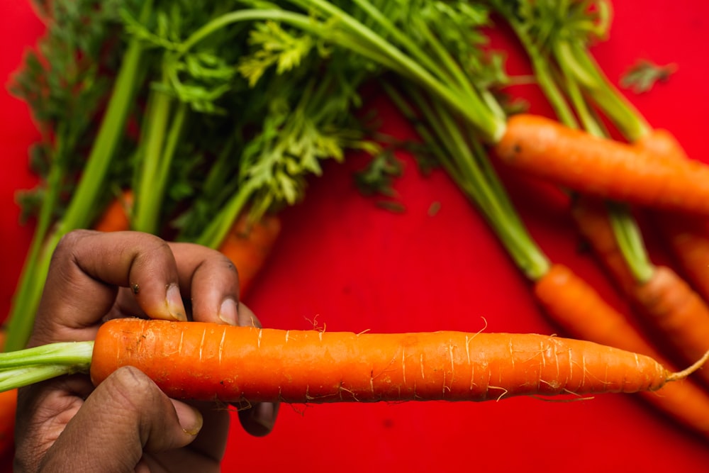 a person holding a carrot in their hand