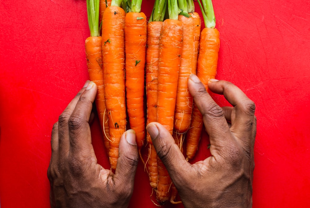 two hands holding a bunch of carrots on a red surface