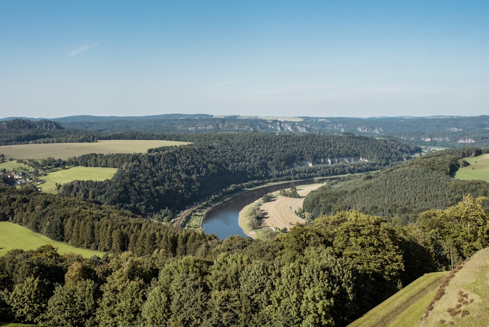 green trees and river under blue sky during daytime