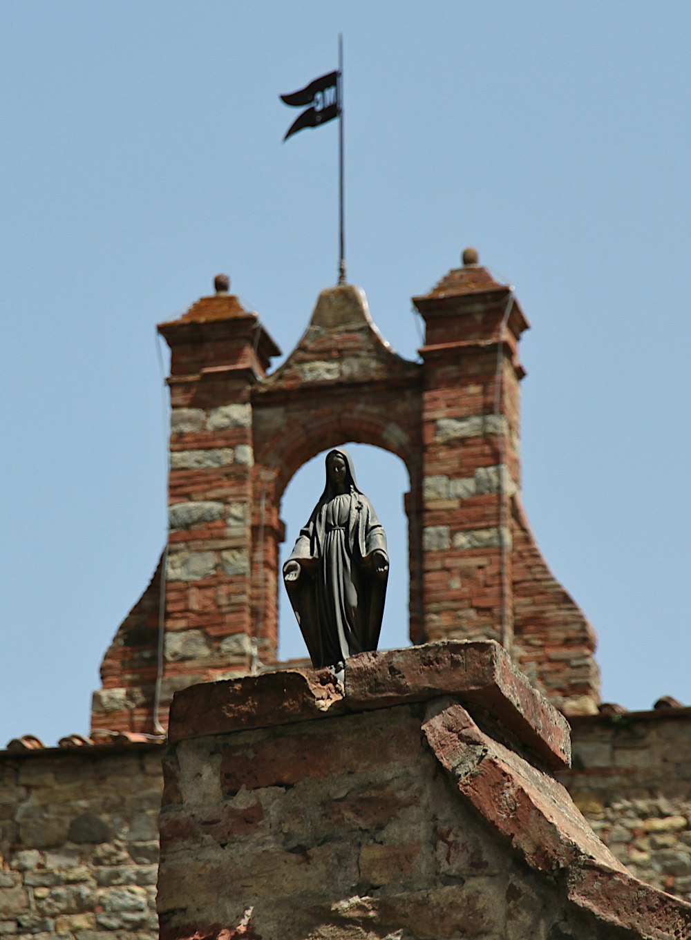 black and white bird on brown concrete building during daytime