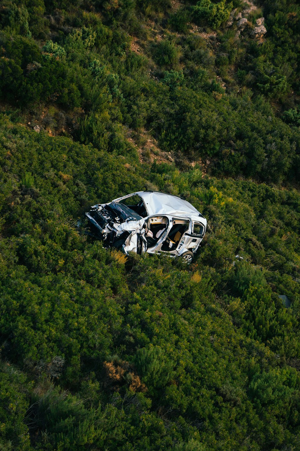 a car that is sitting in the grass