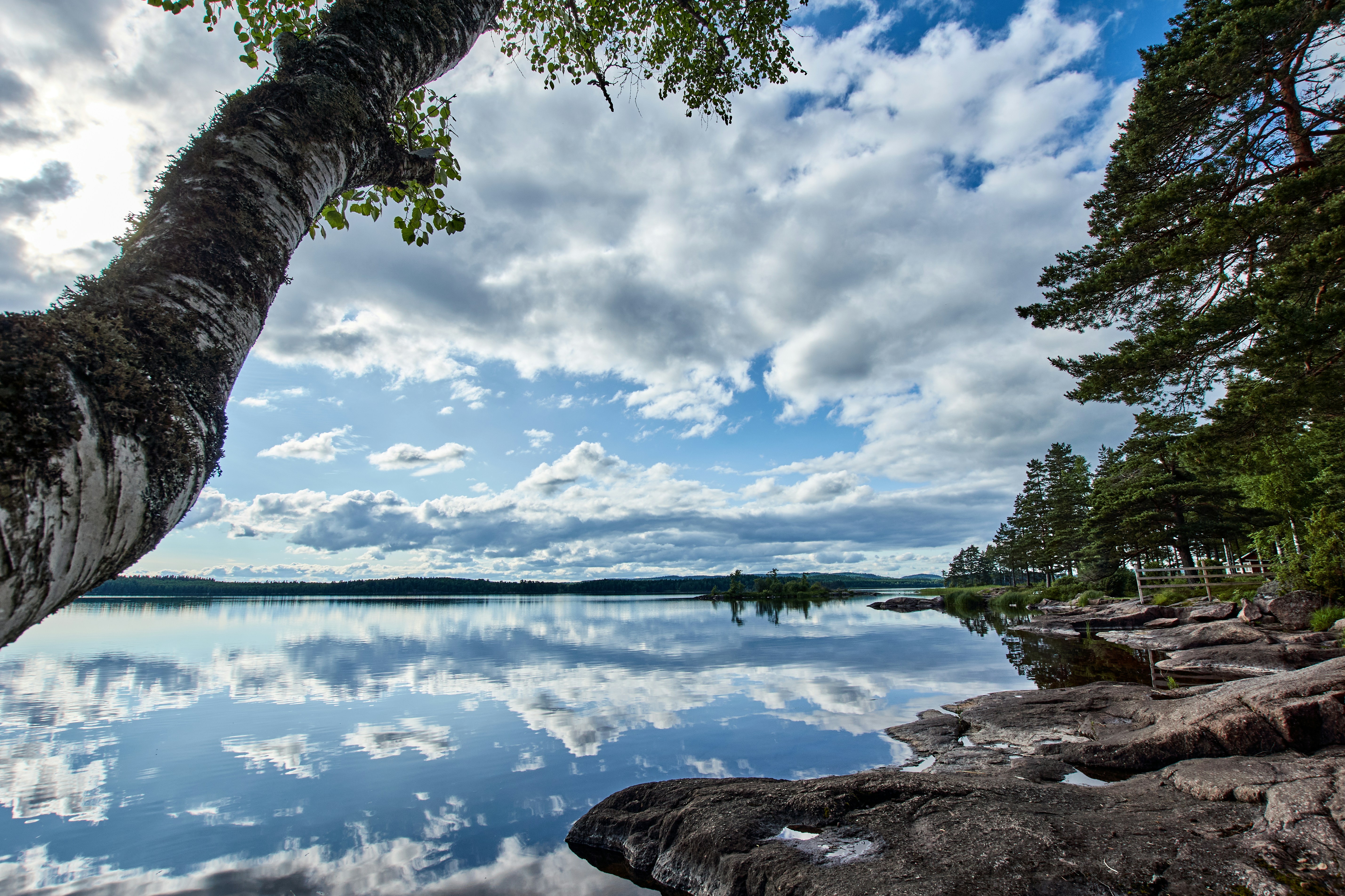 Photo by wolfgang_hasselmann