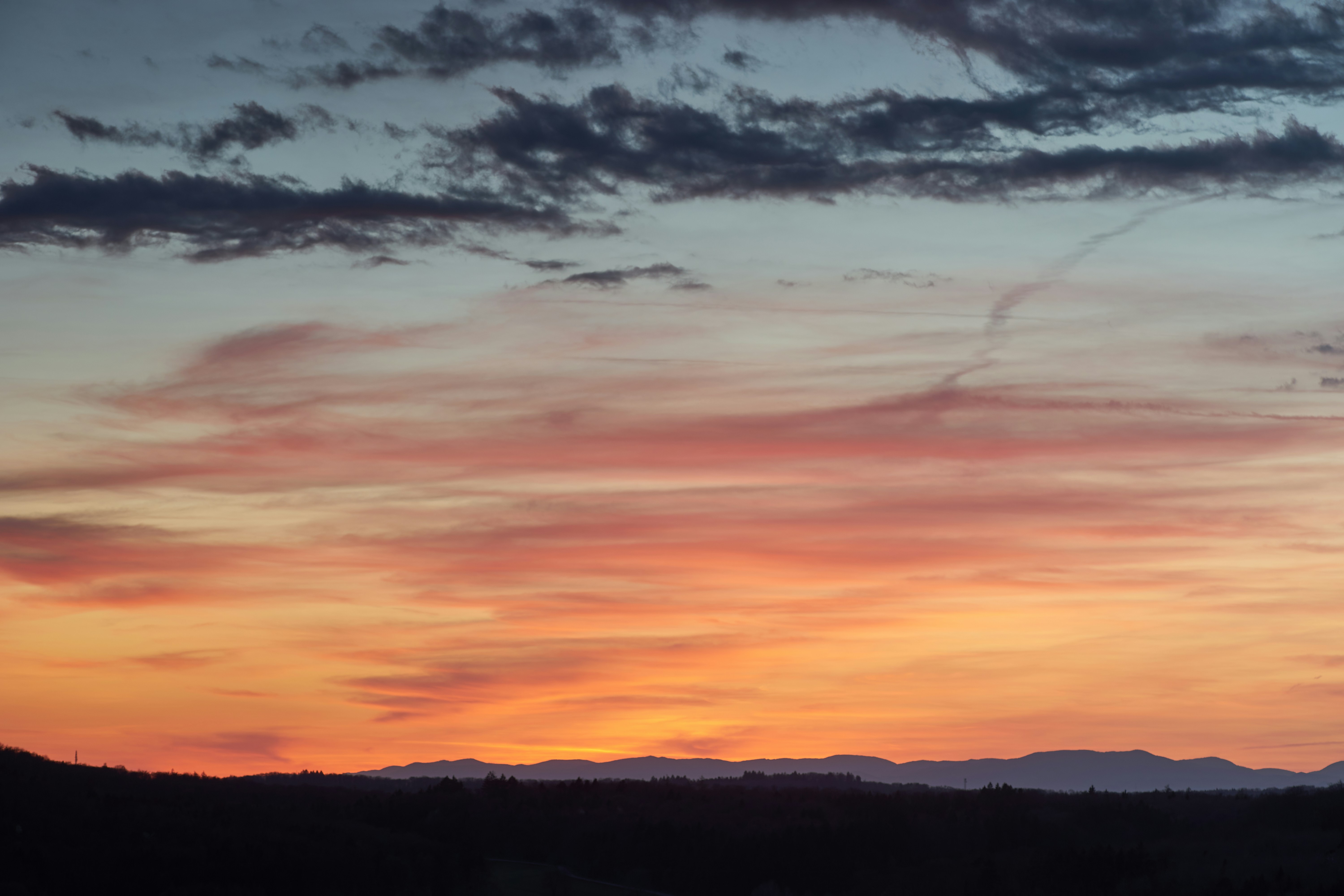 Photo by wolfgang_hasselmann