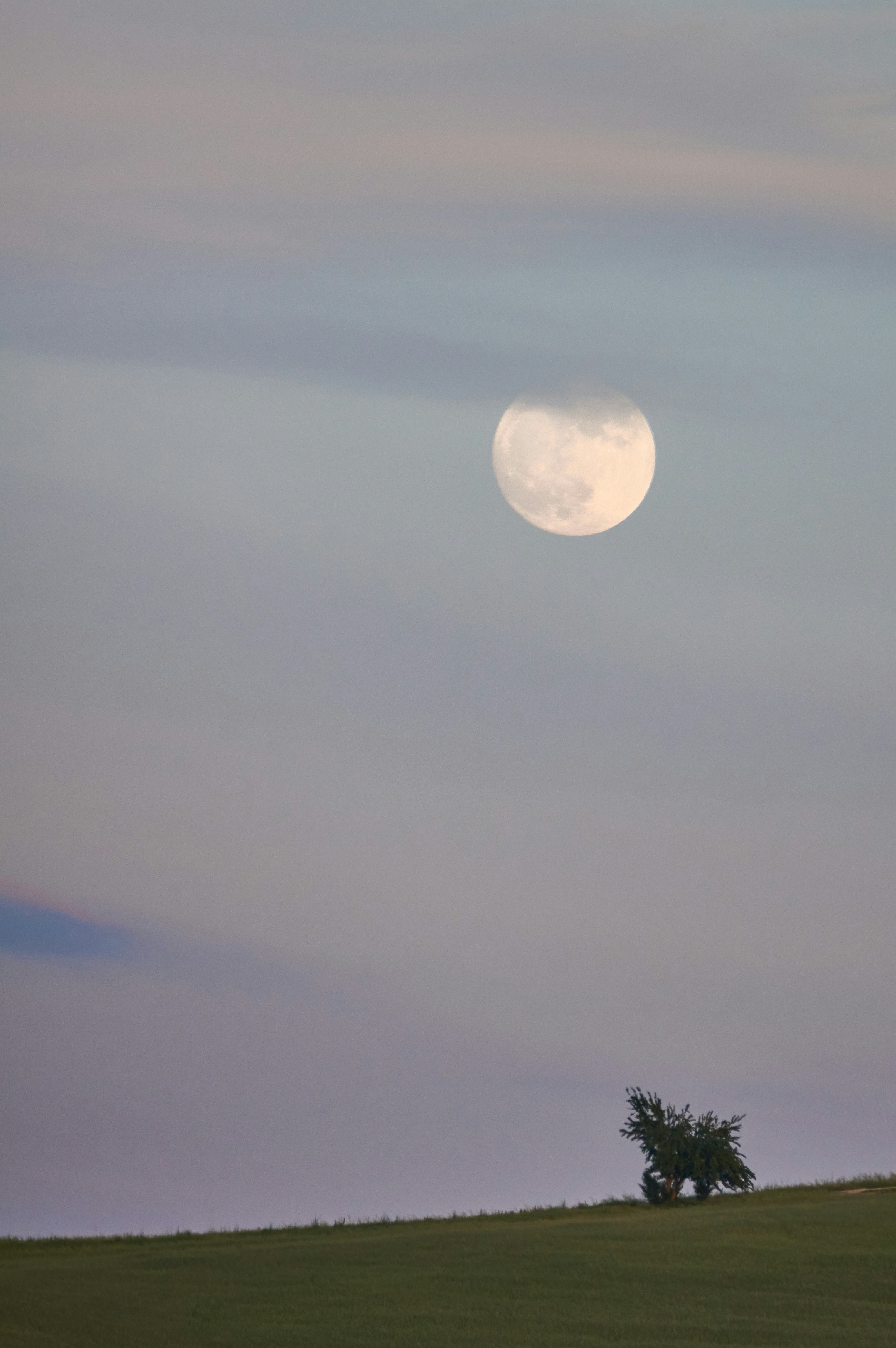 Photo by wolfgang_hasselmann