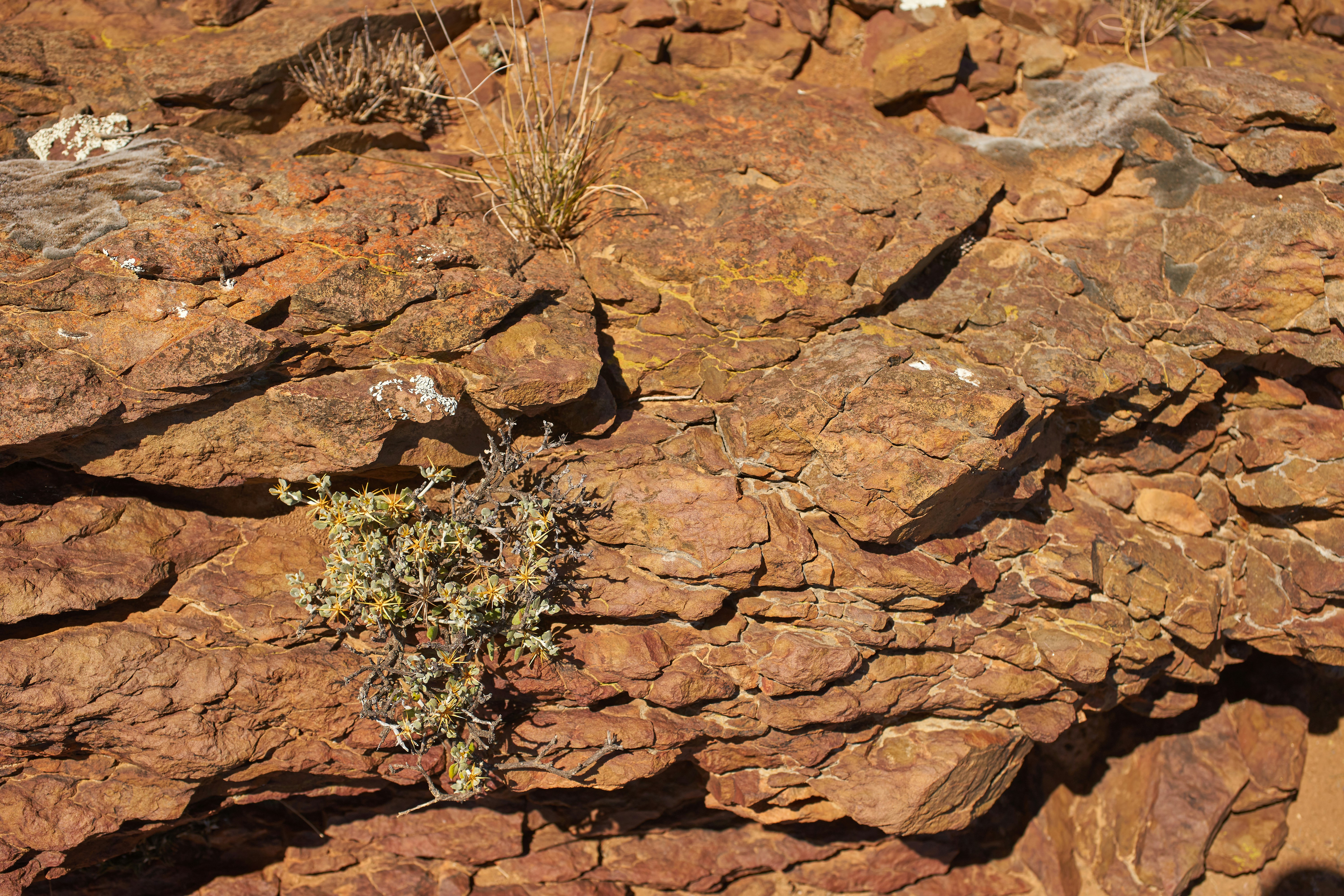 Photo by wolfgang_hasselmann