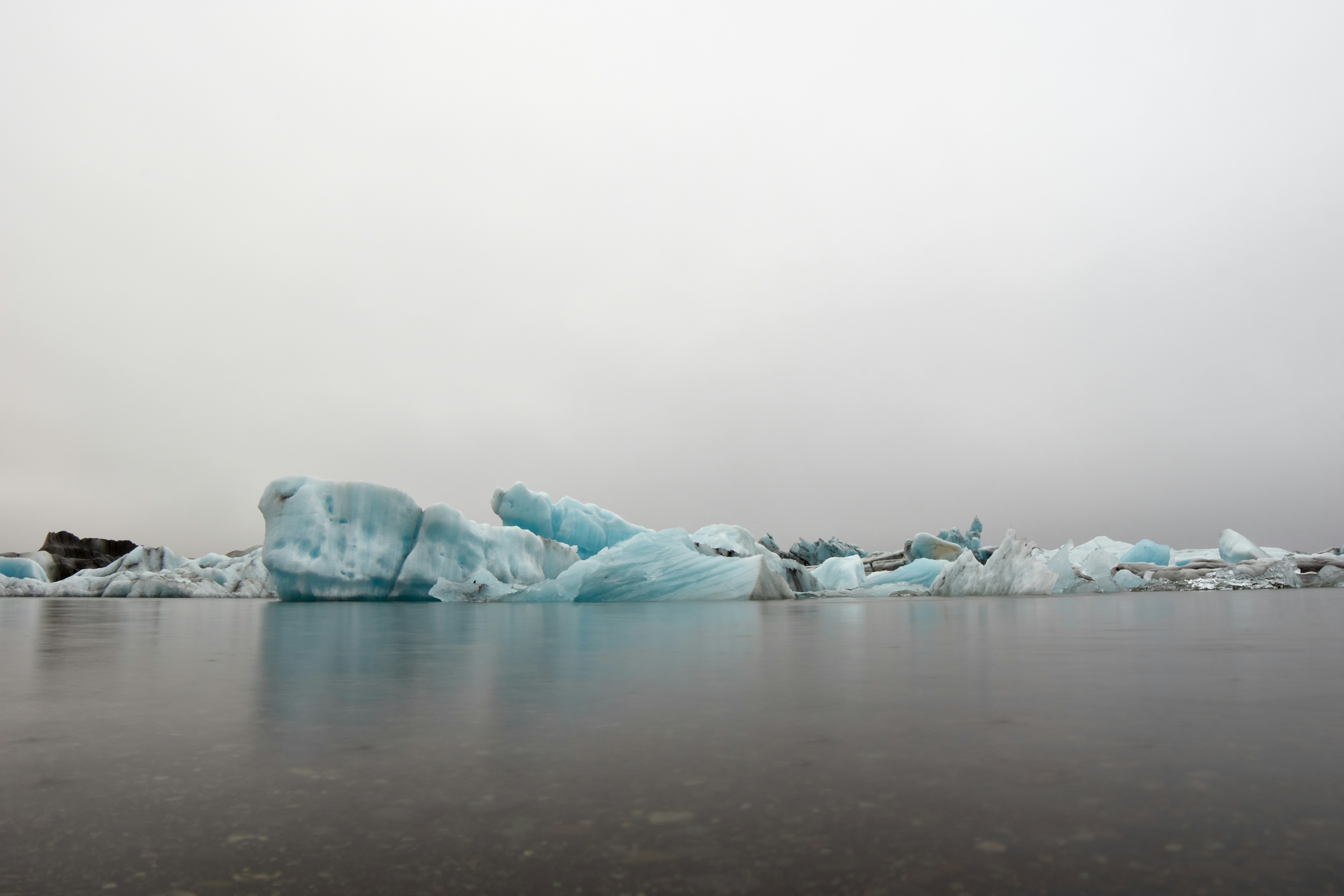 Photo by wolfgang_hasselmann