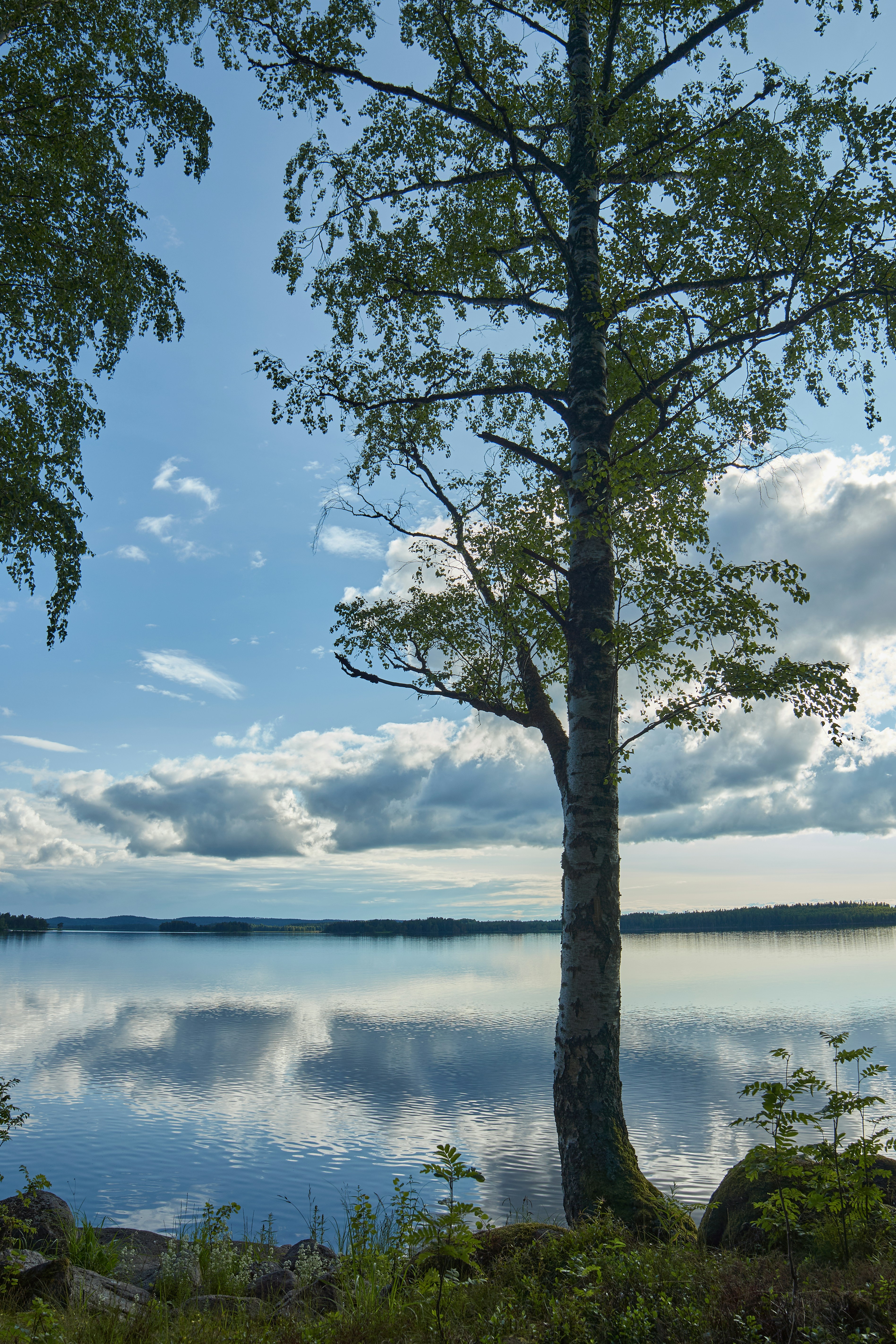 Photo by wolfgang_hasselmann