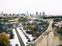 green trees near city buildings during daytime