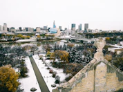 green trees near city buildings during daytime