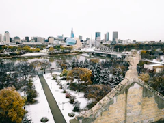 green trees near city buildings during daytime