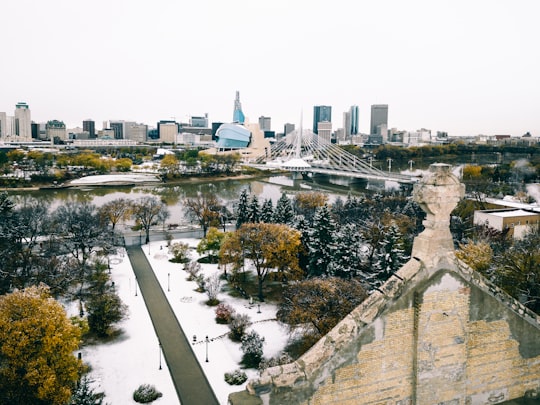 green trees near city buildings during daytime in Winnipeg Canada